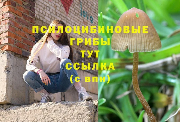 каннабис Баксан