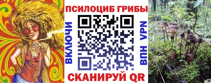 Псилоцибиновые грибы GOLDEN TEACHER  наркота  hydra как зайти  Курильск 